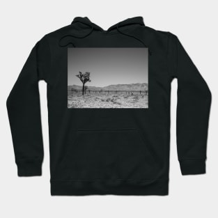 Joshua Tree Landscape Photo V4 Hoodie